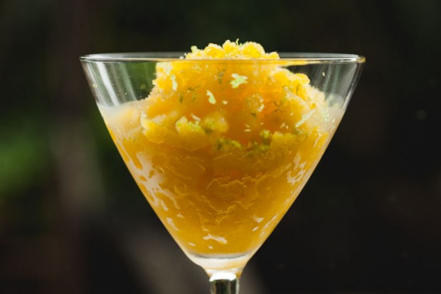fresh mango and lime ice