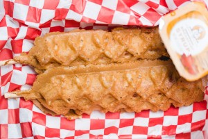 waffle dog - the sam livecast