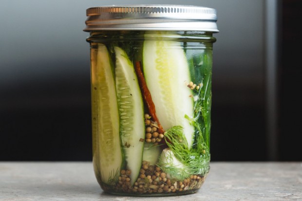 dill pickles - the sam livecast