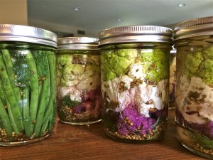 Pickled Cauliflower & Green Beans - the sam livecast