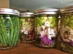 Pickled Cauliflower & Green Beans - the sam livecast