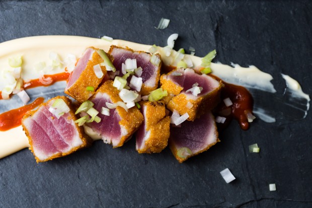 cap'n crunch seared tuna 2 - the sam livecast