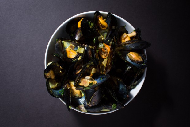 curry mussels - the sam livecast