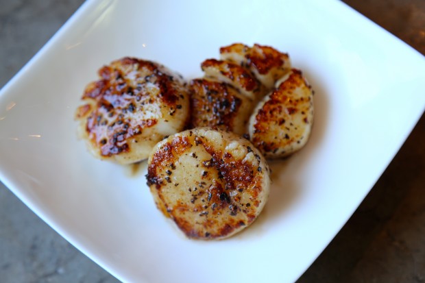 perfectly seared scallops - the sam livecast