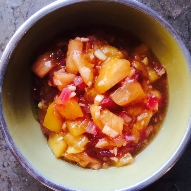 ginger chutney - the sam livecast