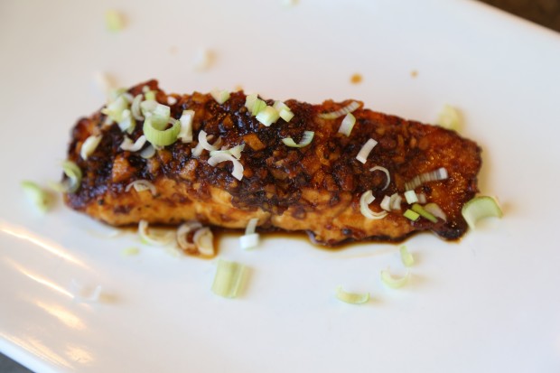 ginger salmon - the sam livecast